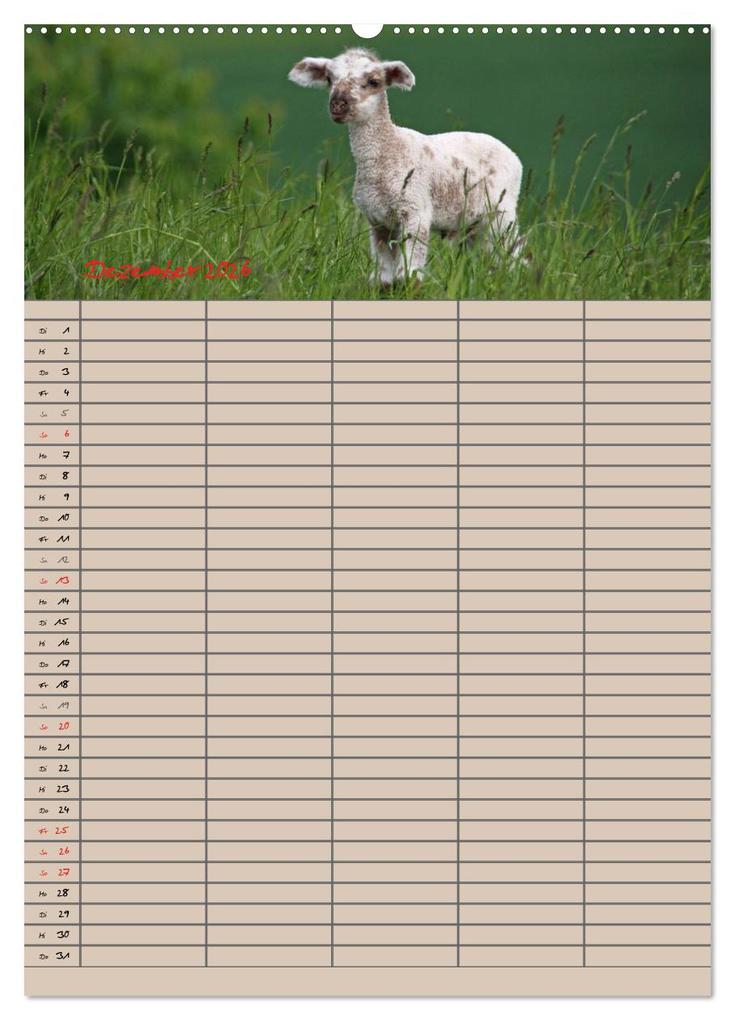 Weitere Ansicht: Der belämmerte Familienplaner (Wandkalender 2026 DIN A2 hoch), CALVENDO Monatskalender | Antje Lindert-Rottke, Calvendo