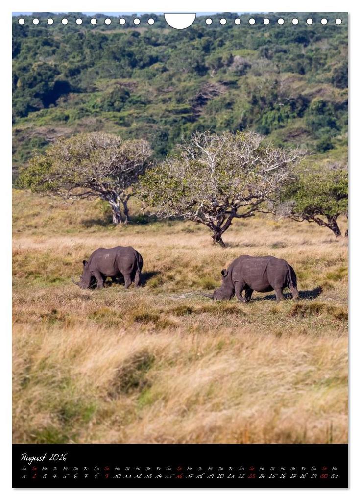 Weitere Ansicht: Südafrika - Sehenswerte Panorama Route (Wandkalender 2026 DIN A4 hoch), CALVENDO Monatskalender | Thomas Klinder, Calvendo