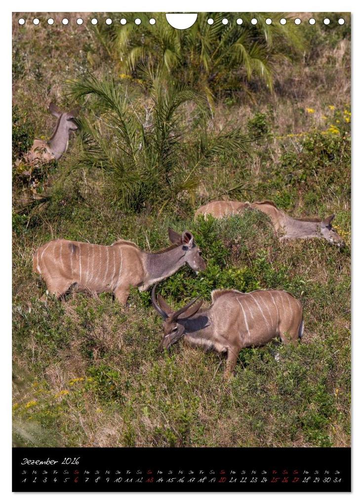 Weitere Ansicht: Südafrika - Sehenswerte Panorama Route (Wandkalender 2026 DIN A4 hoch), CALVENDO Monatskalender | Thomas Klinder, Calvendo