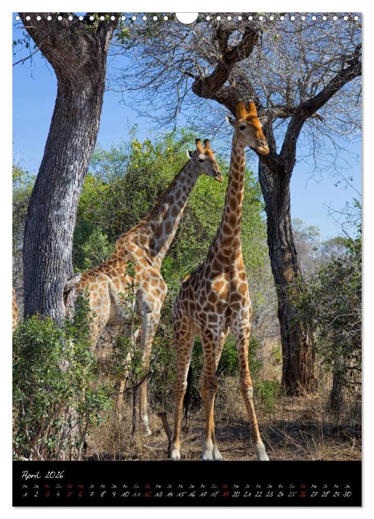 Weitere Ansicht: Südafrika - Sehenswerte Panorama Route (Wandkalender 2026 DIN A3 hoch), CALVENDO Monatskalender | Thomas Klinder, Calvendo