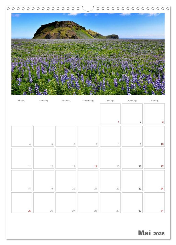 Weitere Ansicht: Faszination Island - Landschaftskalender mit Tagesplaner 2026 / Planer (Wandkalender 2026 DIN A3 hoch), CALVENDO Monatskalender | Dirk Vonten, Calvendo