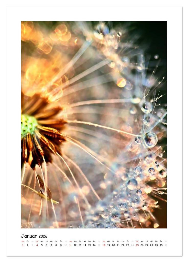 Weitere Ansicht: Die Pusteblume neu erleben (Wandkalender 2026 DIN A3 hoch), CALVENDO Monatskalender | Julia Delgado, Calvendo