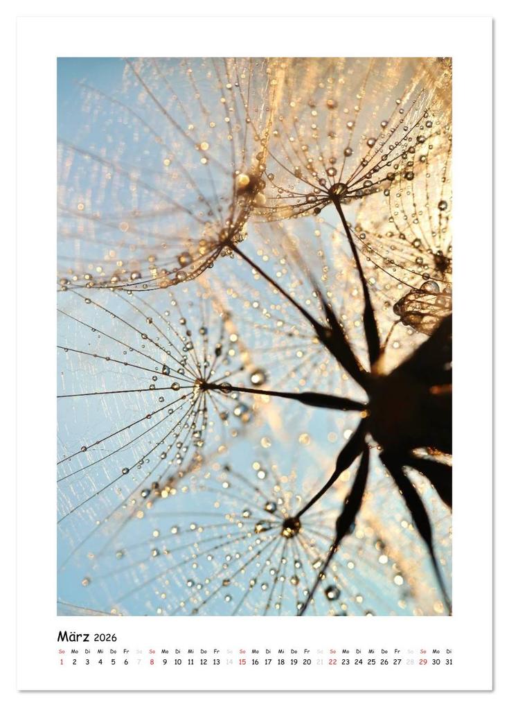 Weitere Ansicht: Die Pusteblume neu erleben (Wandkalender 2026 DIN A3 hoch), CALVENDO Monatskalender | Julia Delgado, Calvendo