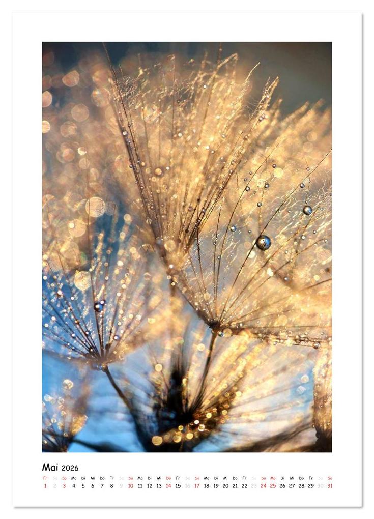 Weitere Ansicht: Die Pusteblume neu erleben (Wandkalender 2026 DIN A3 hoch), CALVENDO Monatskalender | Julia Delgado, Calvendo