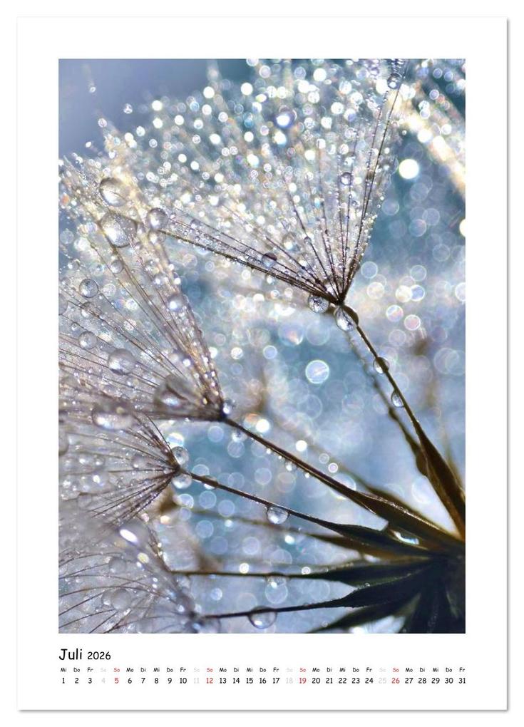 Weitere Ansicht: Die Pusteblume neu erleben (Wandkalender 2026 DIN A3 hoch), CALVENDO Monatskalender | Julia Delgado, Calvendo