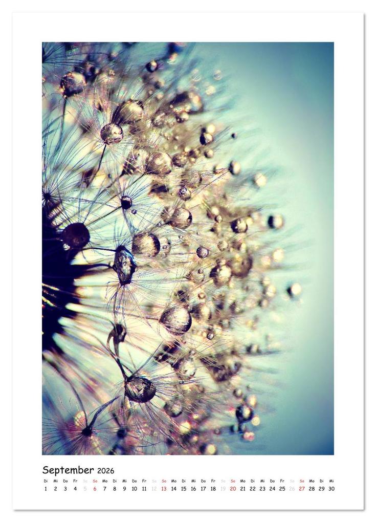 Weitere Ansicht: Die Pusteblume neu erleben (Wandkalender 2026 DIN A3 hoch), CALVENDO Monatskalender | Julia Delgado, Calvendo