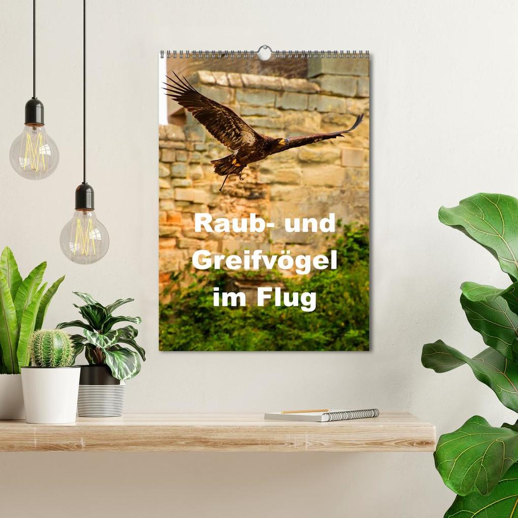 Weitere Ansicht: Raub- und Greifvögel im Flug (Wandkalender 2026 DIN A3 hoch), CALVENDO Monatskalender | Gabriela Wernicke-Marfo, Calvendo