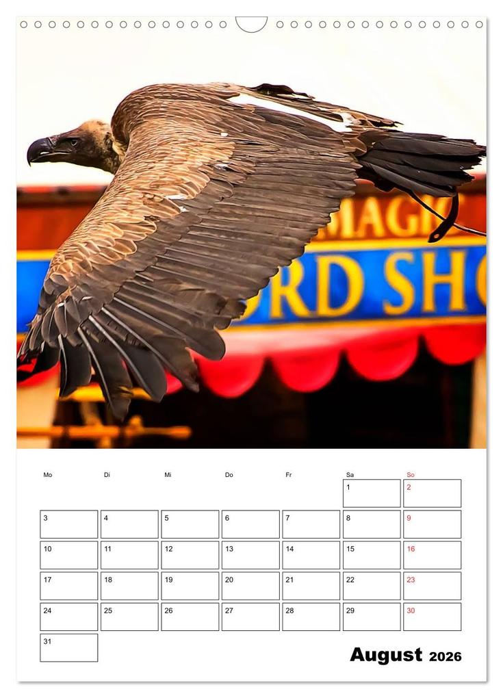 Weitere Ansicht: Raub- und Greifvögel im Flug (Wandkalender 2026 DIN A3 hoch), CALVENDO Monatskalender | Gabriela Wernicke-Marfo, Calvendo
