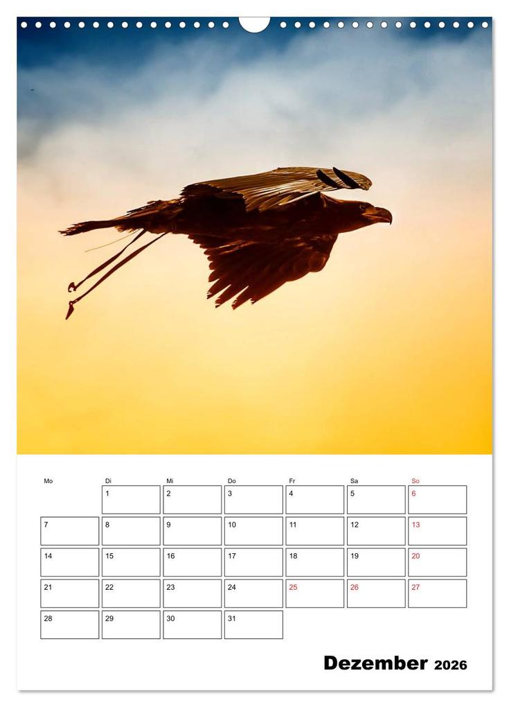 Weitere Ansicht: Raub- und Greifvögel im Flug (Wandkalender 2026 DIN A3 hoch), CALVENDO Monatskalender | Gabriela Wernicke-Marfo, Calvendo