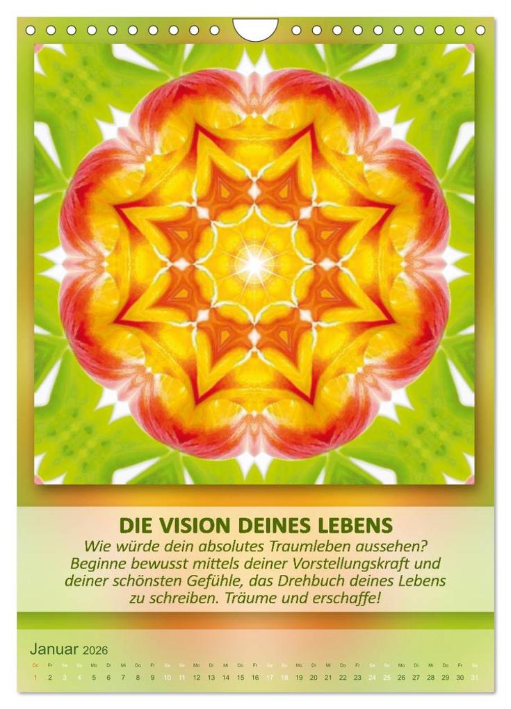 Weitere Ansicht: Light Energy Mandalas - Kalender - Vol. 2 (Wandkalender 2026 DIN A4 hoch), CALVENDO Monatskalender | Gaby Shayana Hoffmann, Calvendo