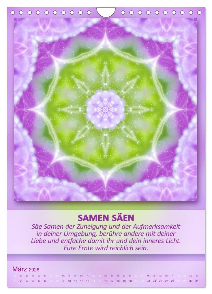 Weitere Ansicht: Light Energy Mandalas - Kalender - Vol. 2 (Wandkalender 2026 DIN A4 hoch), CALVENDO Monatskalender | Gaby Shayana Hoffmann, Calvendo