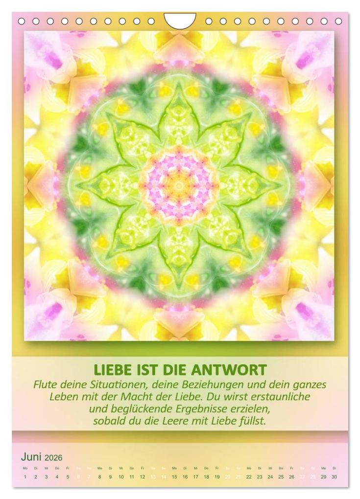 Weitere Ansicht: Light Energy Mandalas - Kalender - Vol. 2 (Wandkalender 2026 DIN A4 hoch), CALVENDO Monatskalender | Gaby Shayana Hoffmann, Calvendo