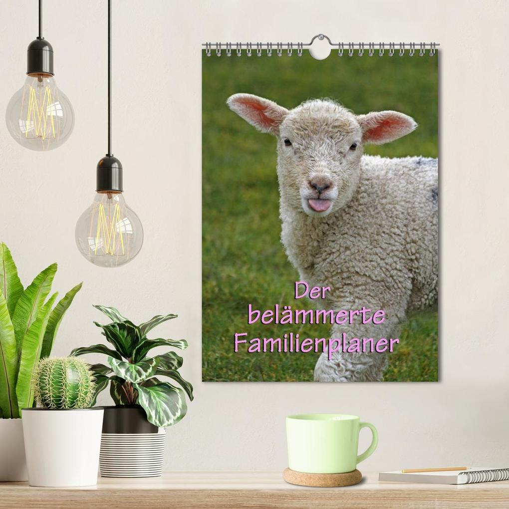 Weitere Ansicht: Der belämmerte Familienplaner (Wandkalender 2026 DIN A4 hoch), CALVENDO Monatskalender | Antje Lindert-Rottke, Calvendo