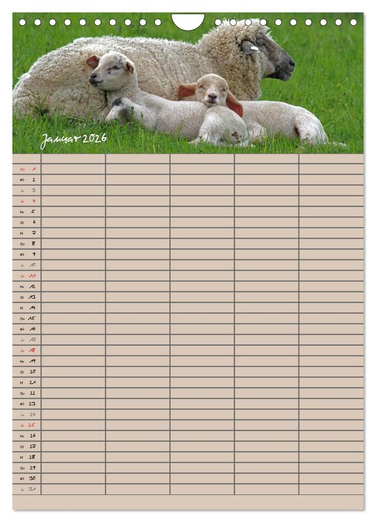 Weitere Ansicht: Der belämmerte Familienplaner (Wandkalender 2026 DIN A4 hoch), CALVENDO Monatskalender | Antje Lindert-Rottke, Calvendo