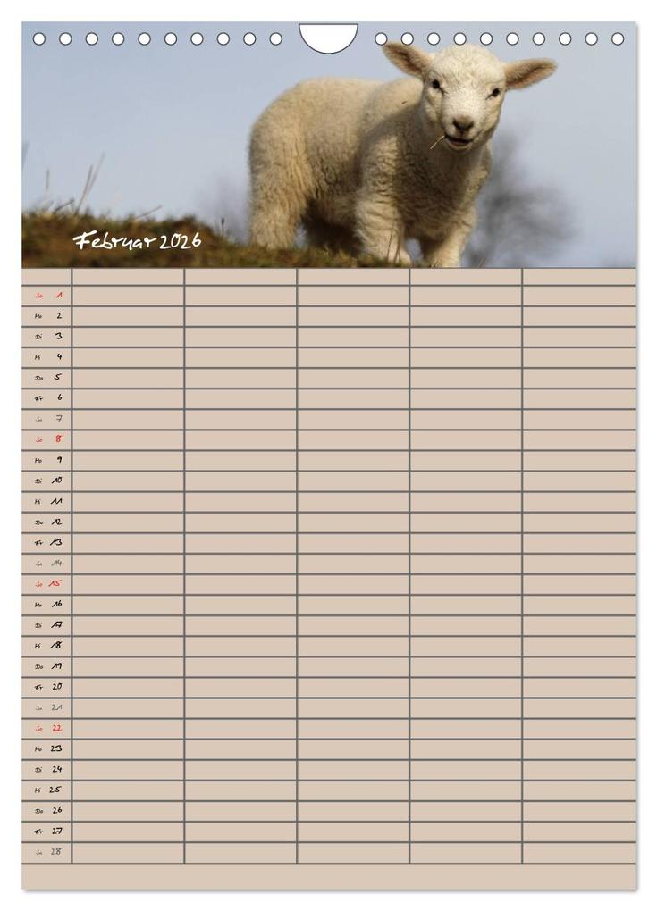 Weitere Ansicht: Der belämmerte Familienplaner (Wandkalender 2026 DIN A4 hoch), CALVENDO Monatskalender | Antje Lindert-Rottke, Calvendo