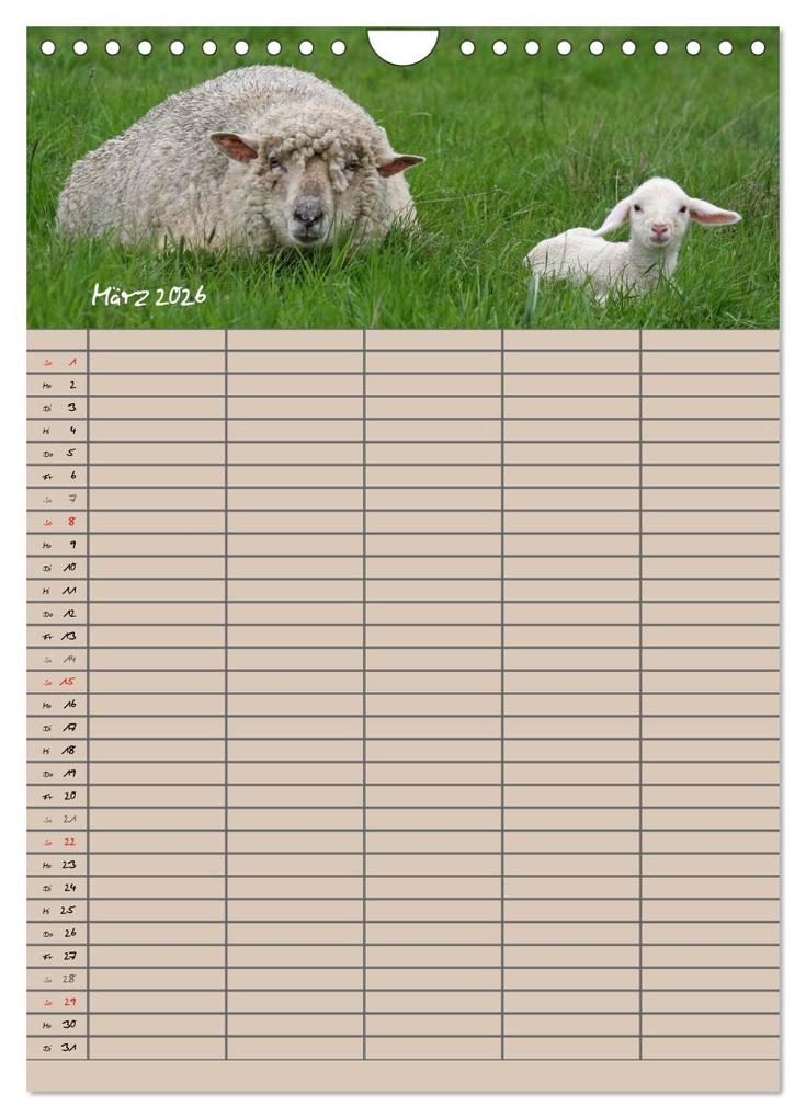 Weitere Ansicht: Der belämmerte Familienplaner (Wandkalender 2026 DIN A4 hoch), CALVENDO Monatskalender | Antje Lindert-Rottke, Calvendo