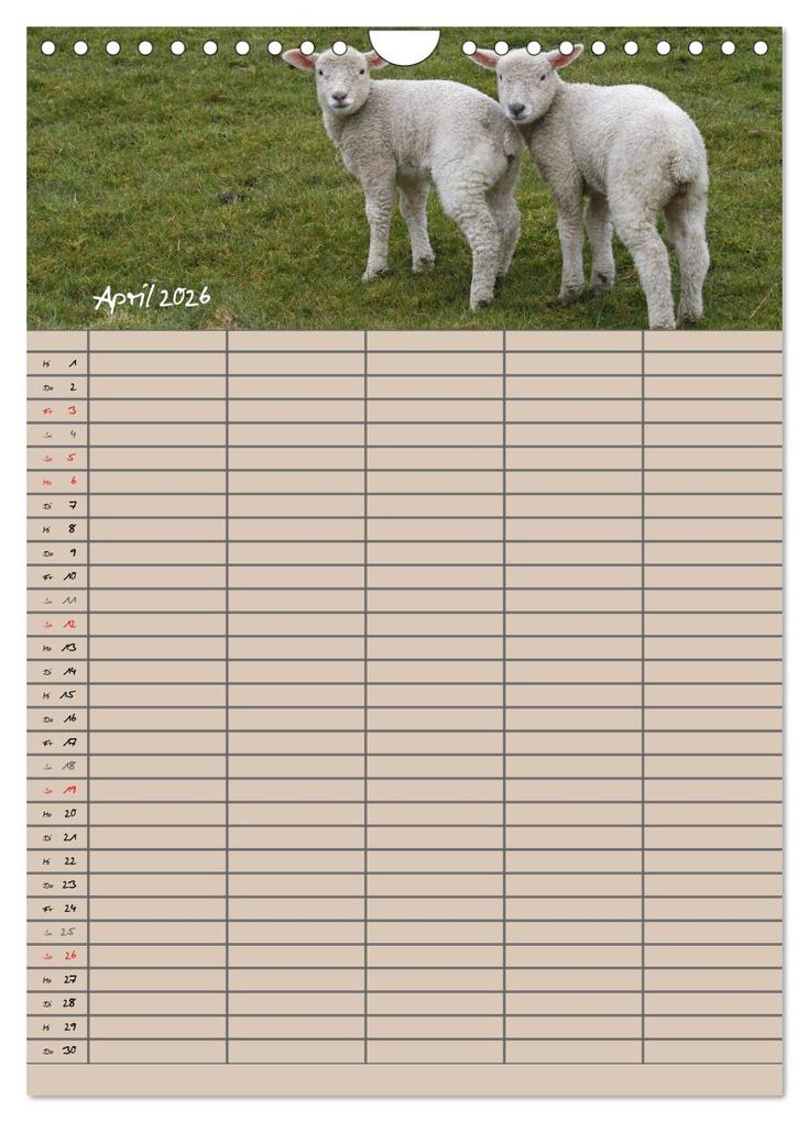 Weitere Ansicht: Der belämmerte Familienplaner (Wandkalender 2026 DIN A4 hoch), CALVENDO Monatskalender | Antje Lindert-Rottke, Calvendo