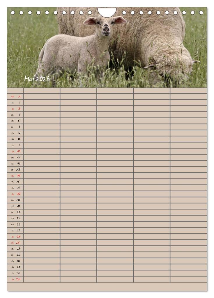 Weitere Ansicht: Der belämmerte Familienplaner (Wandkalender 2026 DIN A4 hoch), CALVENDO Monatskalender | Antje Lindert-Rottke, Calvendo