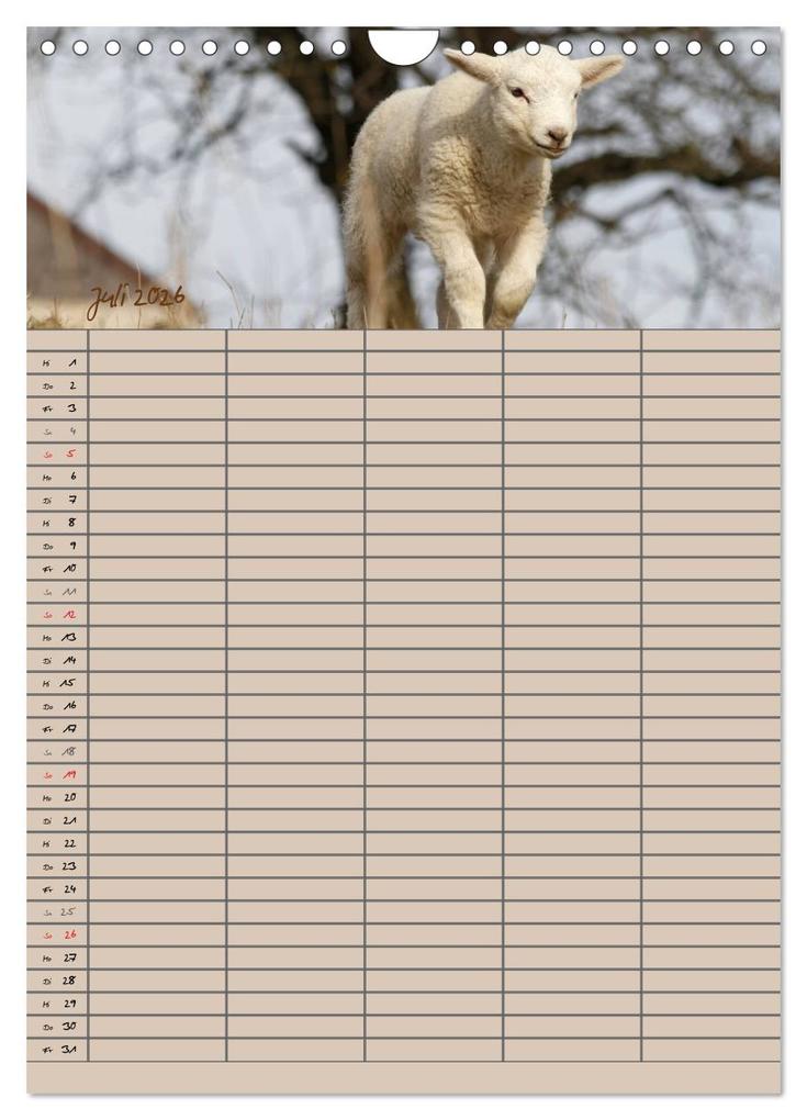 Weitere Ansicht: Der belämmerte Familienplaner (Wandkalender 2026 DIN A4 hoch), CALVENDO Monatskalender | Antje Lindert-Rottke, Calvendo