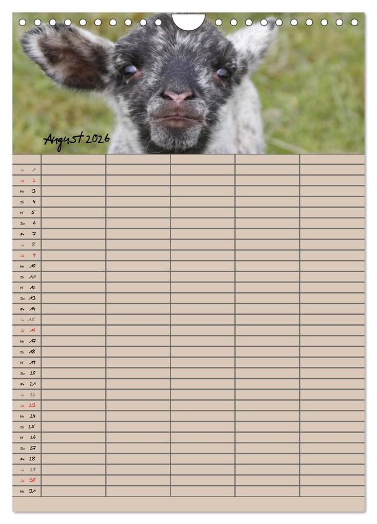 Weitere Ansicht: Der belämmerte Familienplaner (Wandkalender 2026 DIN A4 hoch), CALVENDO Monatskalender | Antje Lindert-Rottke, Calvendo