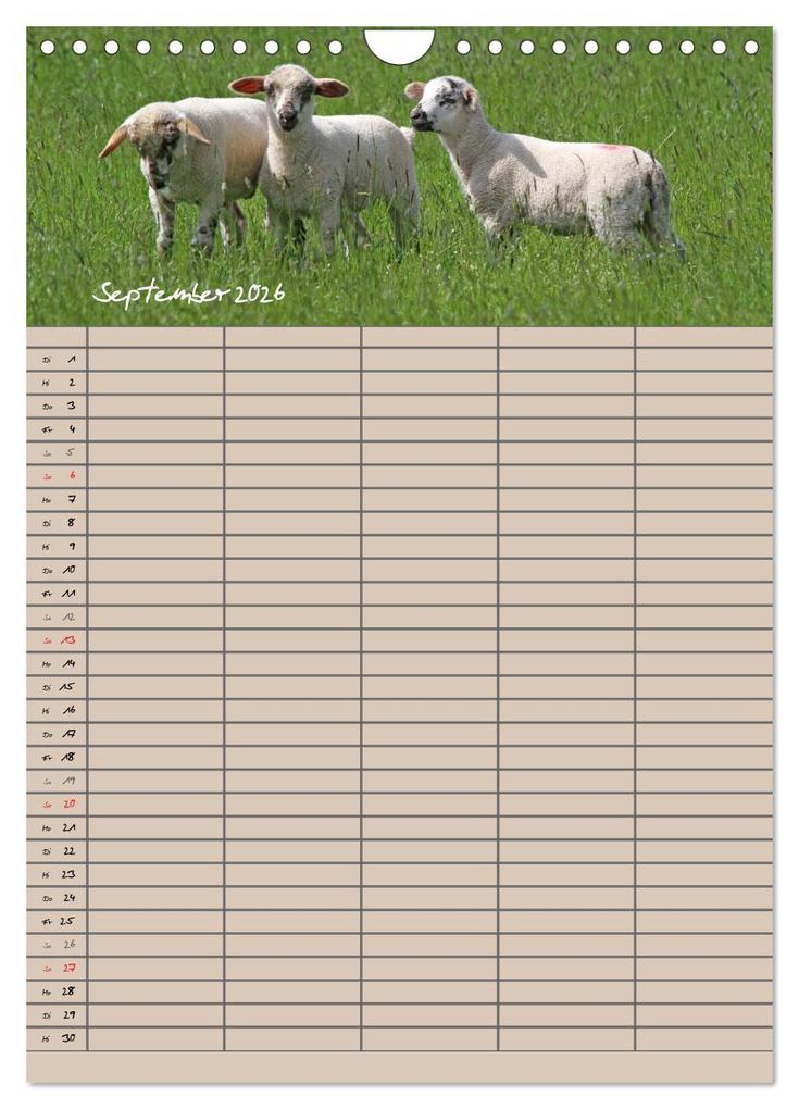 Weitere Ansicht: Der belämmerte Familienplaner (Wandkalender 2026 DIN A4 hoch), CALVENDO Monatskalender | Antje Lindert-Rottke, Calvendo