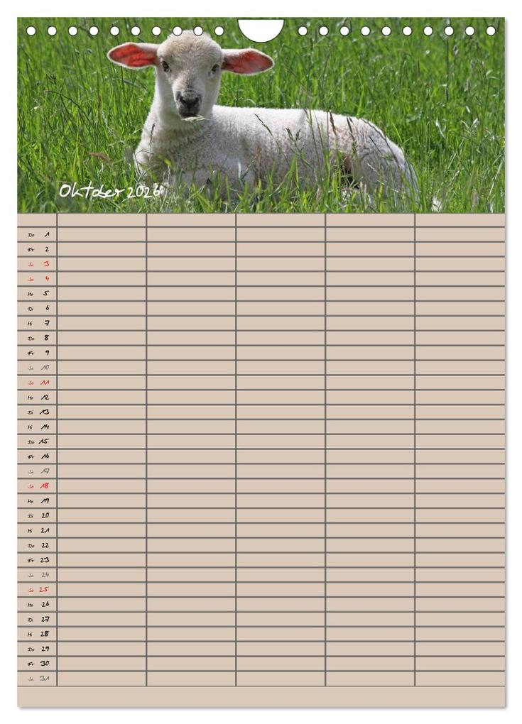 Weitere Ansicht: Der belämmerte Familienplaner (Wandkalender 2026 DIN A4 hoch), CALVENDO Monatskalender | Antje Lindert-Rottke, Calvendo