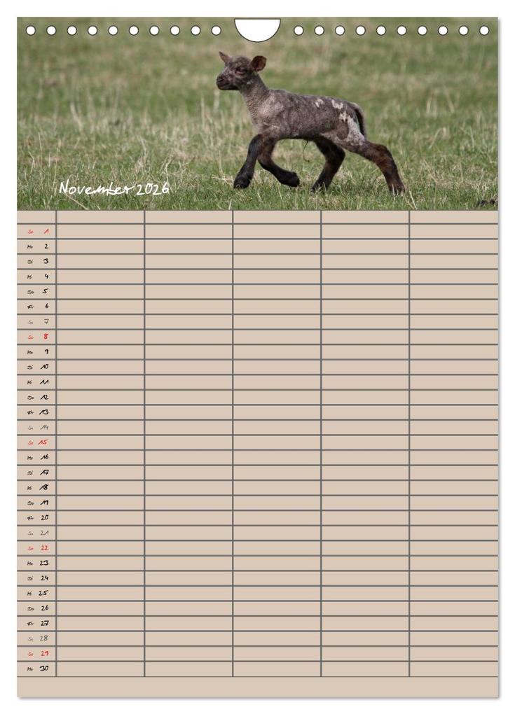 Weitere Ansicht: Der belämmerte Familienplaner (Wandkalender 2026 DIN A4 hoch), CALVENDO Monatskalender | Antje Lindert-Rottke, Calvendo