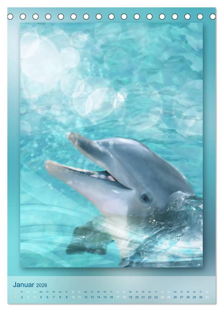 Weitere Ansicht: Delfine - Kalender (Tischkalender 2026 DIN A5 hoch), CALVENDO Monatskalender | Calvendo, Gaby Shayana Hoffmann