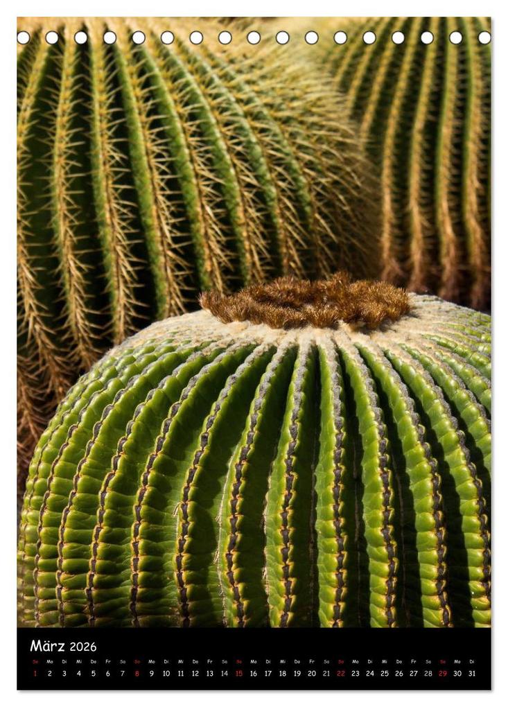 Weitere Ansicht: Lanzarote (Tischkalender 2026 DIN A5 hoch), CALVENDO Monatskalender | Calvendo, Anja Ergler