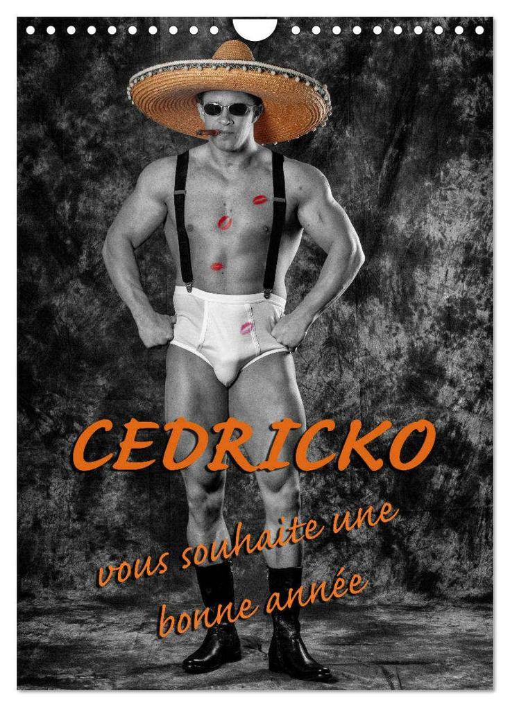 Produktbild: CEDRICKO vous souhaite une bonne année (Calendrier mural 2026 DIN A4 horizontal), CALVENDO calendrier mensuel | Calvendo, thierry planche