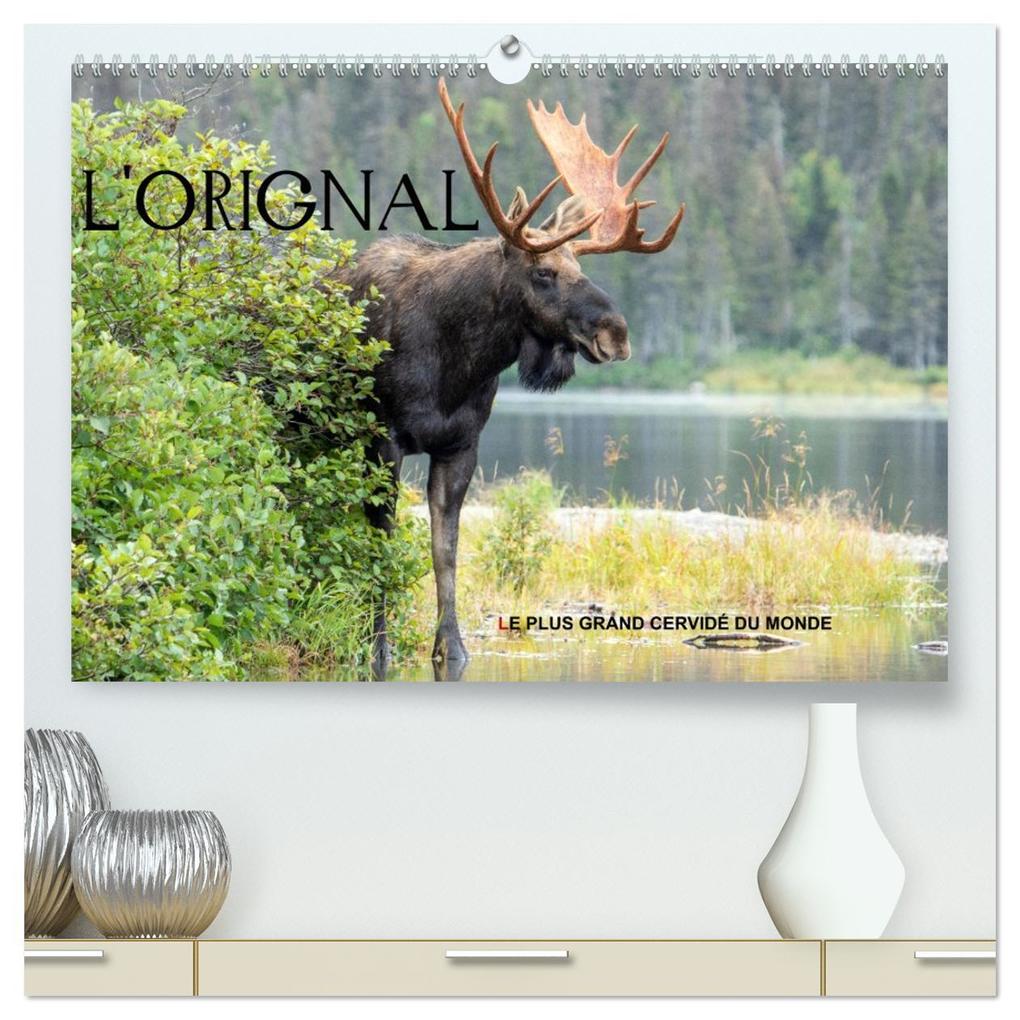 Produktbild: L'ORIGNAL, LE PLUS GRAND CERVIDÉ DU MONDE (Calendrier mural 2026 DIN A2 vertical) calendrier de bureau | Calvendo, Philippe Henry