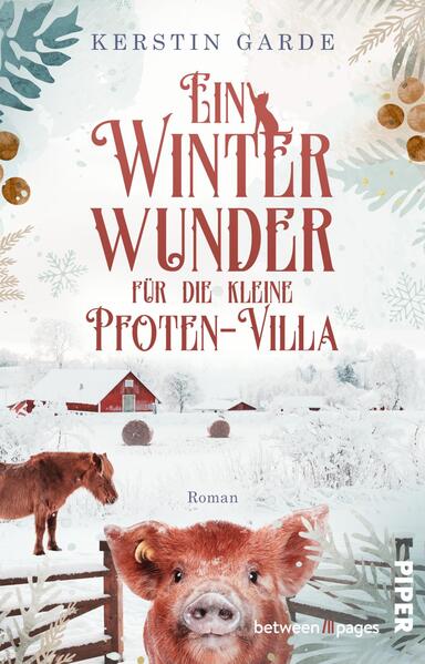 Produktbild: Ein Winterwunder für die kleine Pfoten-Villa | Kerstin Garde