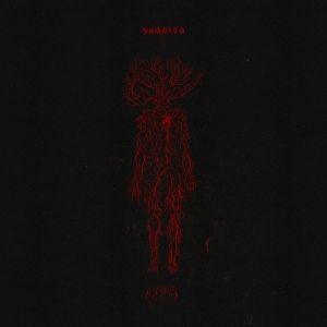 Produktbild: Hypostasis | Sunniva