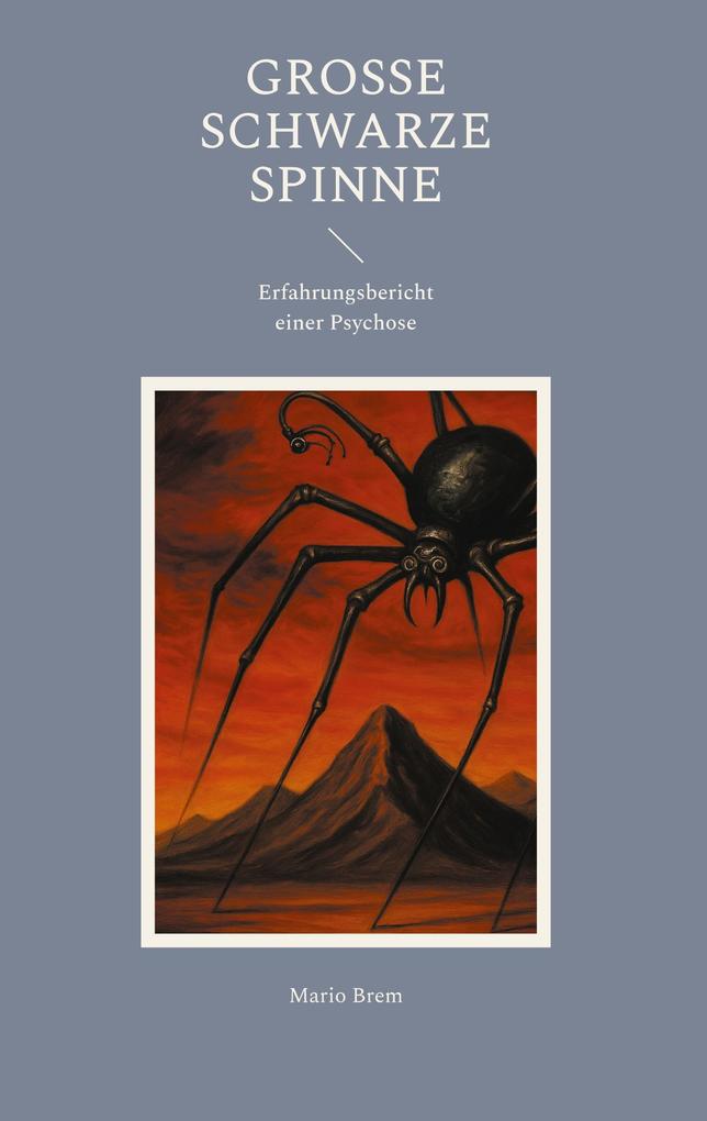 Produktbild: Große Schwarze Spinne | Mario Brem