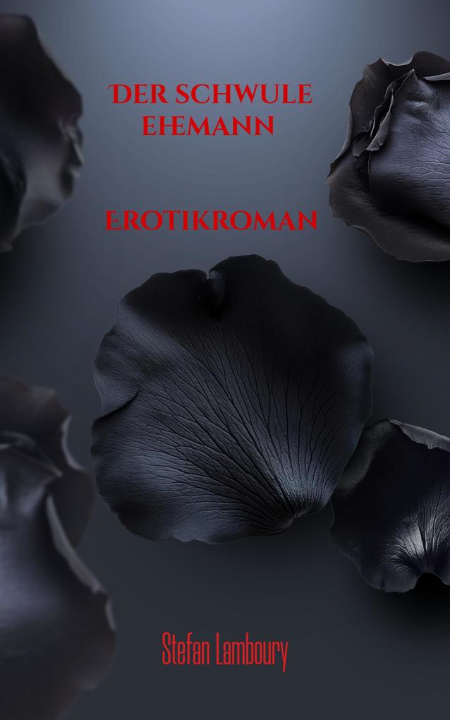 Produktbild: Der schwule Ehemann | Stefan Lamboury