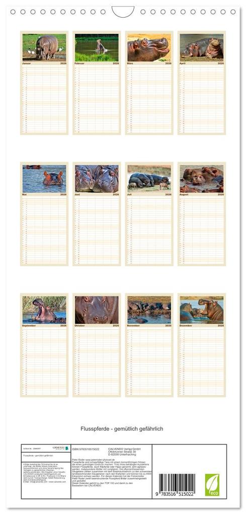 Weitere Ansicht: Familienplaner 2026 - Flusspferde - gemütlich gefährlich mit 5 Spalten (Wandkalender, 21 x 45 cm) CALVENDO | Peter Roder, Calvendo