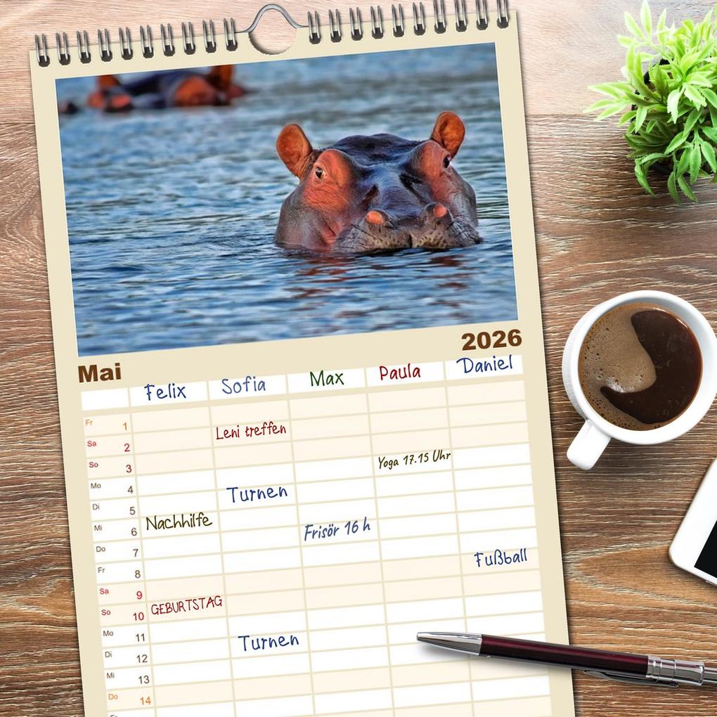 Weitere Ansicht: Familienplaner 2026 - Flusspferde - gemütlich gefährlich mit 5 Spalten (Wandkalender, 21 x 45 cm) CALVENDO | Peter Roder, Calvendo