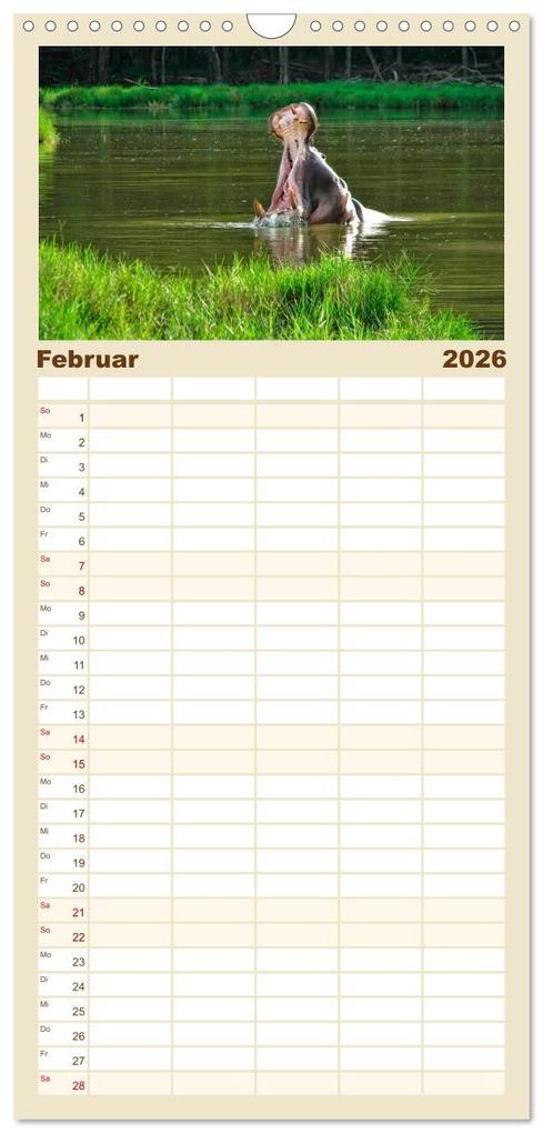 Weitere Ansicht: Familienplaner 2026 - Flusspferde - gemütlich gefährlich mit 5 Spalten (Wandkalender, 21 x 45 cm) CALVENDO | Peter Roder, Calvendo