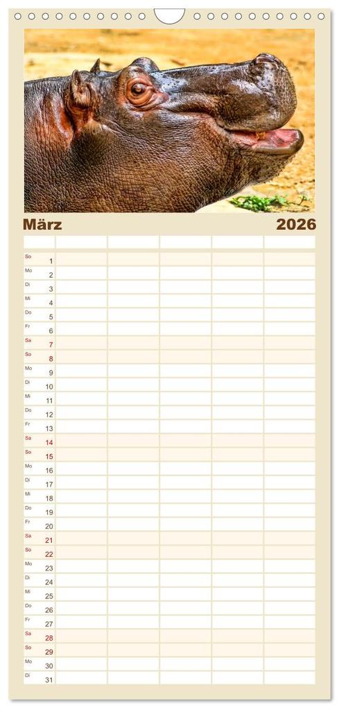 Weitere Ansicht: Familienplaner 2026 - Flusspferde - gemütlich gefährlich mit 5 Spalten (Wandkalender, 21 x 45 cm) CALVENDO | Peter Roder, Calvendo