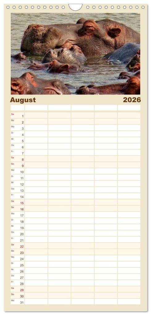 Weitere Ansicht: Familienplaner 2026 - Flusspferde - gemütlich gefährlich mit 5 Spalten (Wandkalender, 21 x 45 cm) CALVENDO | Peter Roder, Calvendo