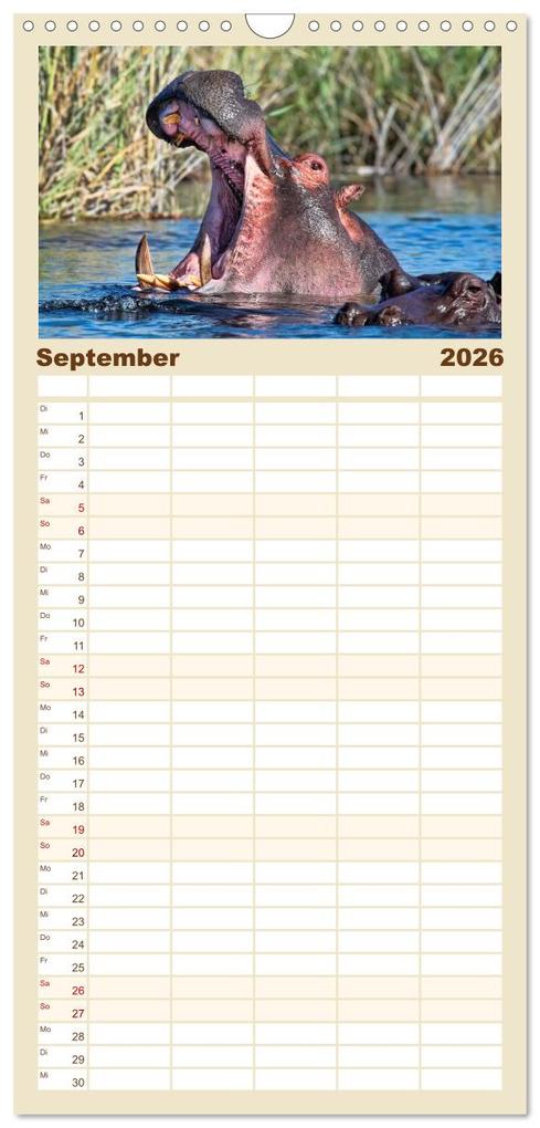 Weitere Ansicht: Familienplaner 2026 - Flusspferde - gemütlich gefährlich mit 5 Spalten (Wandkalender, 21 x 45 cm) CALVENDO | Peter Roder, Calvendo