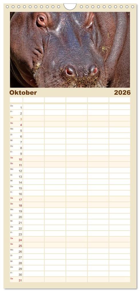 Weitere Ansicht: Familienplaner 2026 - Flusspferde - gemütlich gefährlich mit 5 Spalten (Wandkalender, 21 x 45 cm) CALVENDO | Peter Roder, Calvendo
