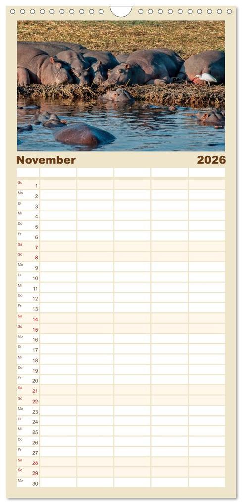 Weitere Ansicht: Familienplaner 2026 - Flusspferde - gemütlich gefährlich mit 5 Spalten (Wandkalender, 21 x 45 cm) CALVENDO | Peter Roder, Calvendo
