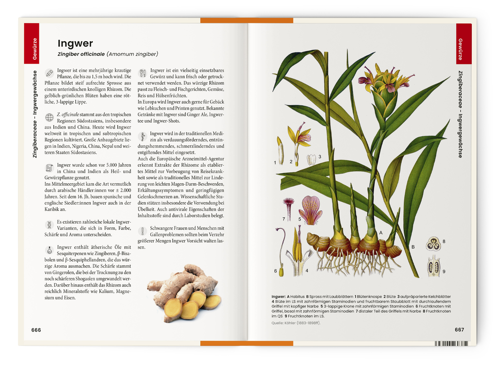 Weitere Ansicht: Was wir essen | Oliver Tackenberg