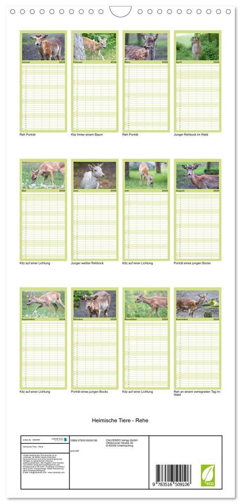 Weitere Ansicht: Familienplaner 2026 - Heimische Tiere - Rehe mit 5 Spalten (Wandkalender, 21 x 45 cm) CALVENDO | pixs:sell pixs:sell, Calvendo, pixs:sell, Sell Pixs:Sell