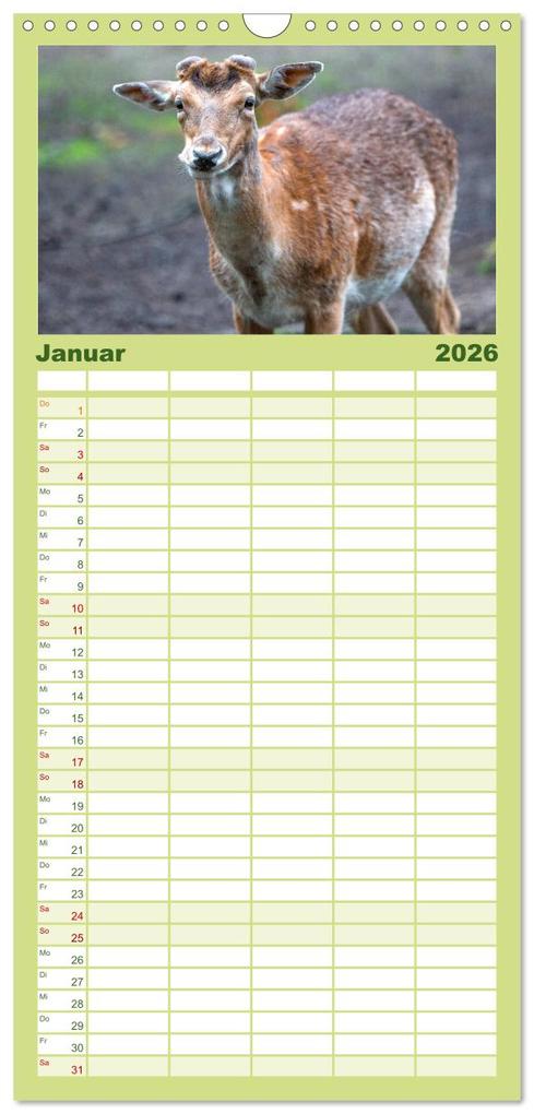 Weitere Ansicht: Familienplaner 2026 - Heimische Tiere - Rehe mit 5 Spalten (Wandkalender, 21 x 45 cm) CALVENDO | pixs:sell pixs:sell, Calvendo, pixs:sell, Sell Pixs:Sell