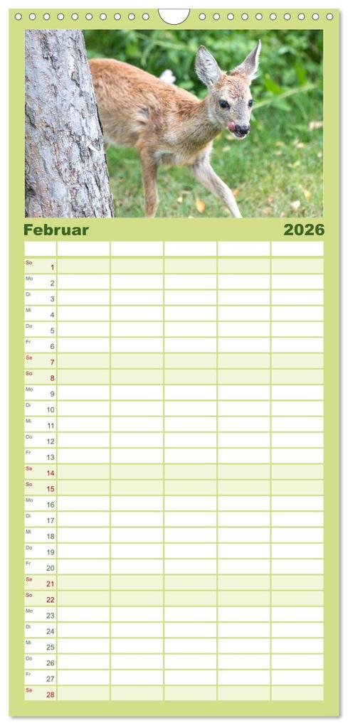 Weitere Ansicht: Familienplaner 2026 - Heimische Tiere - Rehe mit 5 Spalten (Wandkalender, 21 x 45 cm) CALVENDO | pixs:sell pixs:sell, Calvendo, pixs:sell, Sell Pixs:Sell
