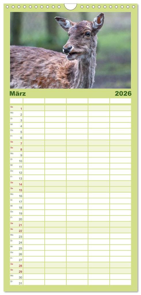 Weitere Ansicht: Familienplaner 2026 - Heimische Tiere - Rehe mit 5 Spalten (Wandkalender, 21 x 45 cm) CALVENDO | pixs:sell pixs:sell, Calvendo, pixs:sell, Sell Pixs:Sell