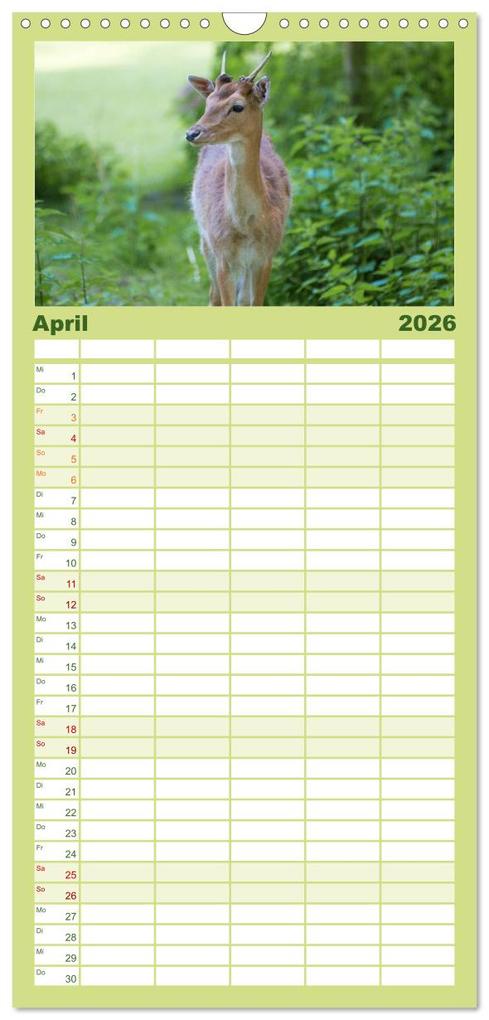 Weitere Ansicht: Familienplaner 2026 - Heimische Tiere - Rehe mit 5 Spalten (Wandkalender, 21 x 45 cm) CALVENDO | pixs:sell pixs:sell, Calvendo, pixs:sell, Sell Pixs:Sell