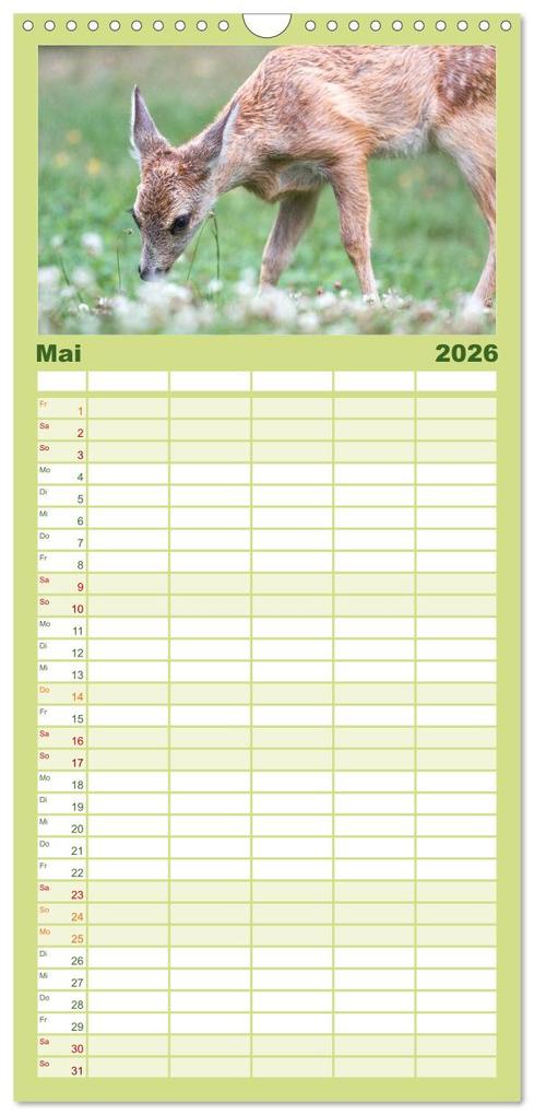 Weitere Ansicht: Familienplaner 2026 - Heimische Tiere - Rehe mit 5 Spalten (Wandkalender, 21 x 45 cm) CALVENDO | pixs:sell pixs:sell, Calvendo, pixs:sell, Sell Pixs:Sell